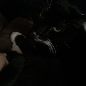 Meet your Posher, Jackie